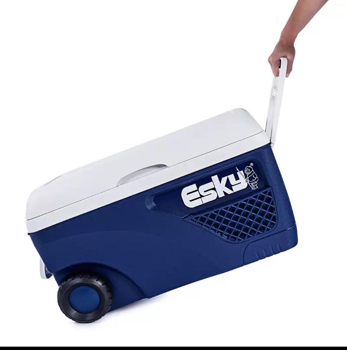 Ice chest /ice cooler