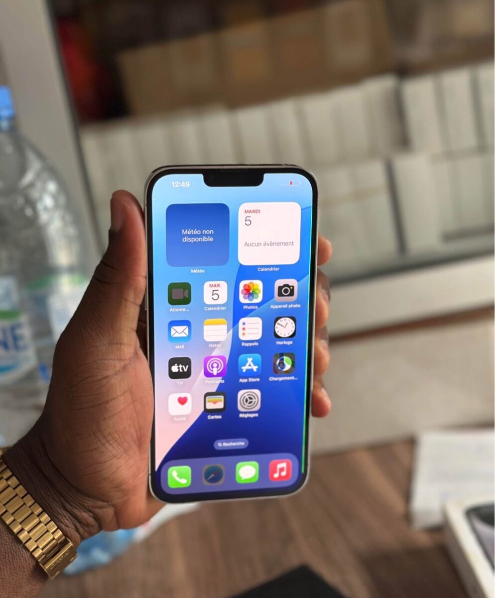 iPhone 13 Pro Max 256GB