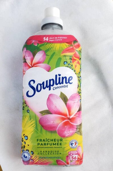 Skip, Soupline, WC net