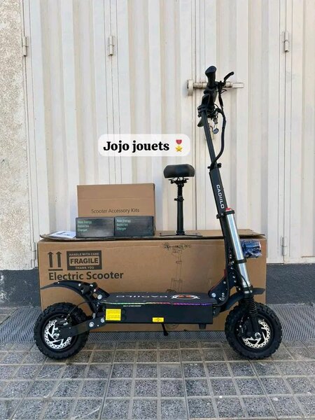 Trottinette Électrique Tout-Terrain