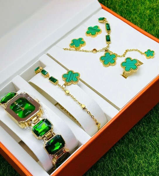 Ensemble montre et bijoux élégant