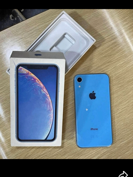 iPhone XR Bleu
