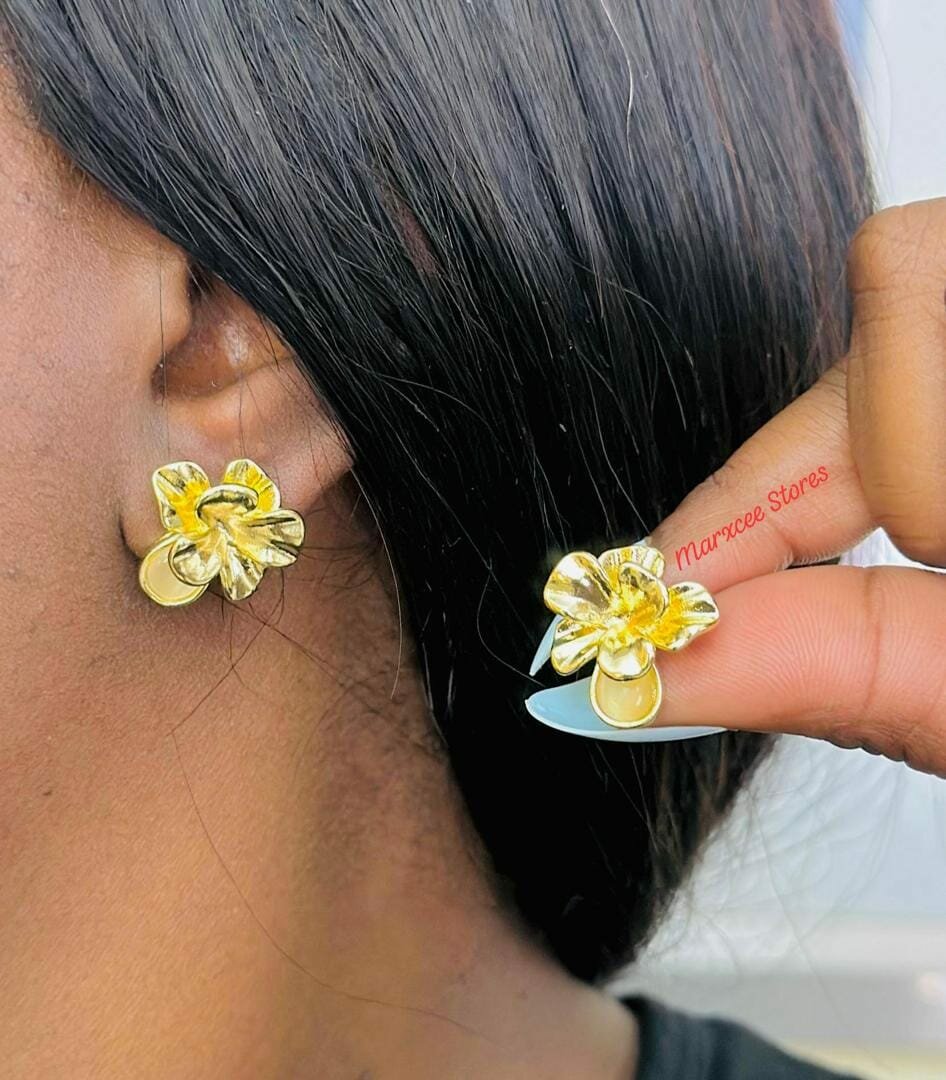 Women's Stainless Steel Earrings