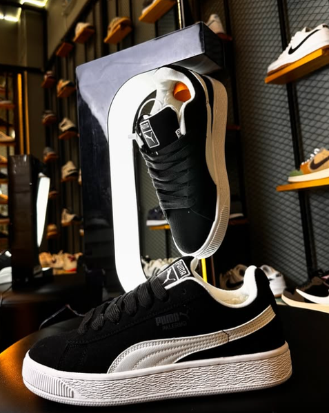 Black Puma Palermo