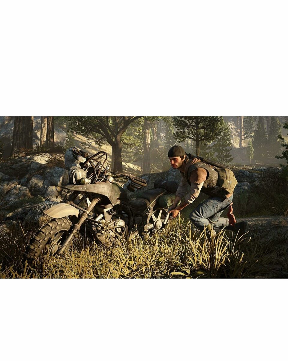 Days Gone cd PS4