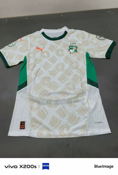 Maillot de Football Côte d'Ivoire Puma Entraînement
