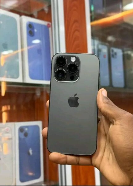 iPhone Pro Max 256 Go Gris