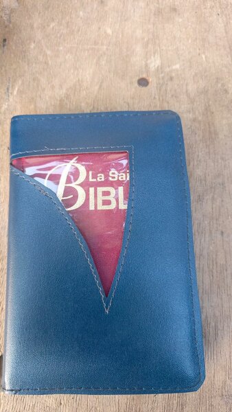 Bible Luis Segond