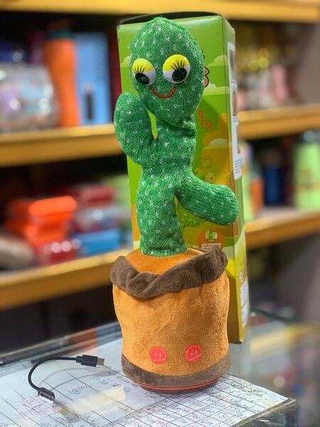 Dancing Cactus