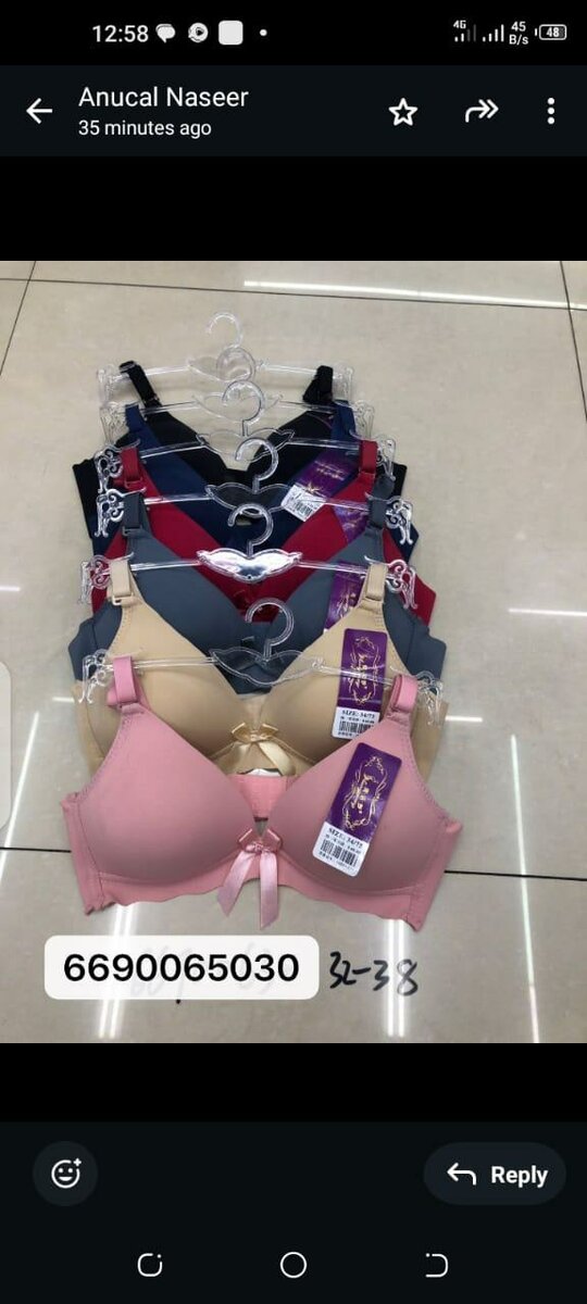 imported Ladies Undergarments