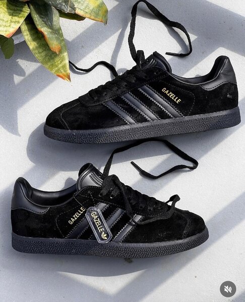 Adidas gazelle
