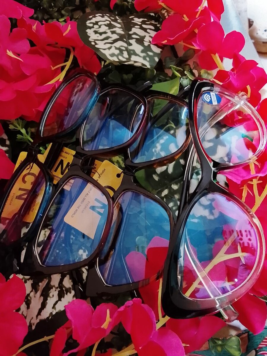 Lunettes élégantes et étuis