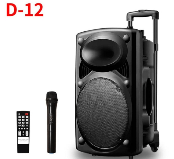 Enceinte Portable D-12