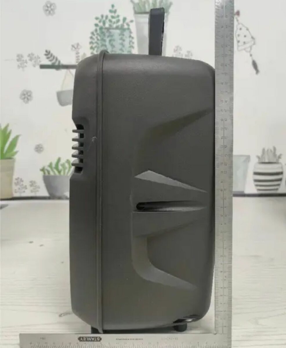 BLUETOOTH SPEAKER WITH A MICROPHONE