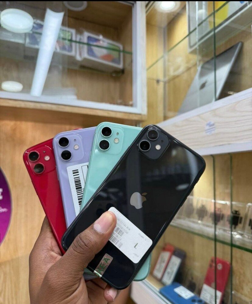 iPhone 11 couleurs variées