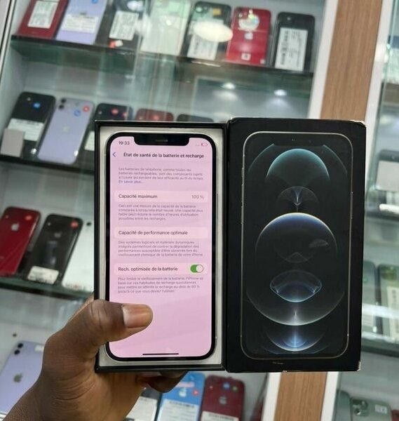 Apple iPhone 12 Pro Max