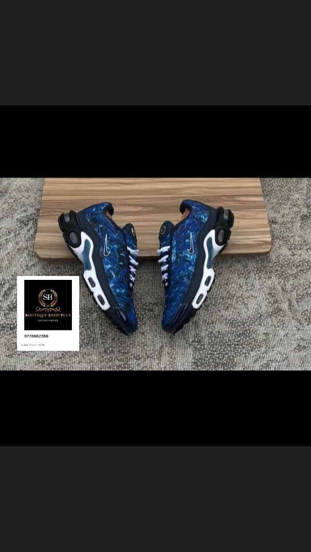 Basket NIKE TN authentique avec sa boîte