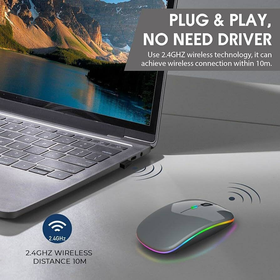 Souris Sans Fil Ergonomique RGB