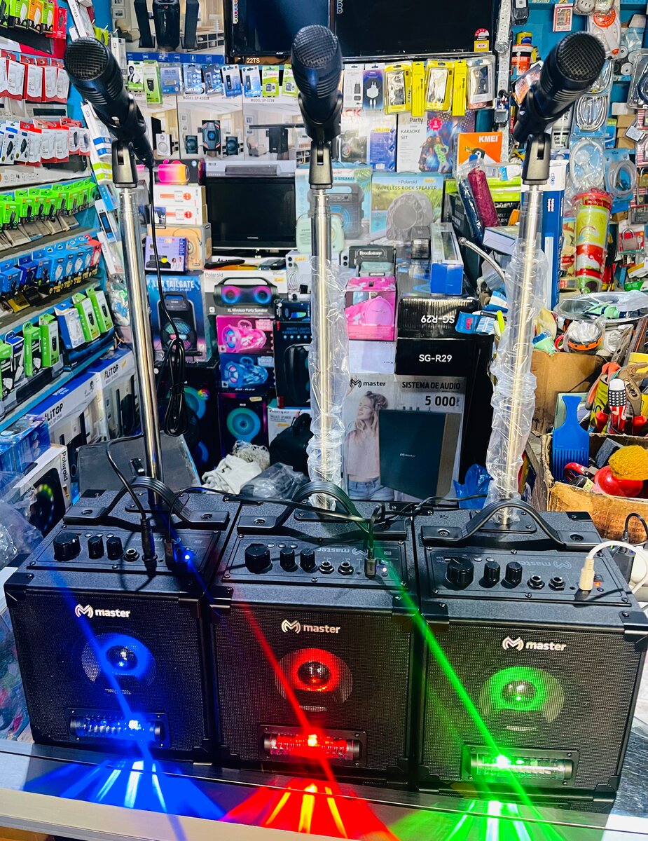 Système Audio Master Karaoké