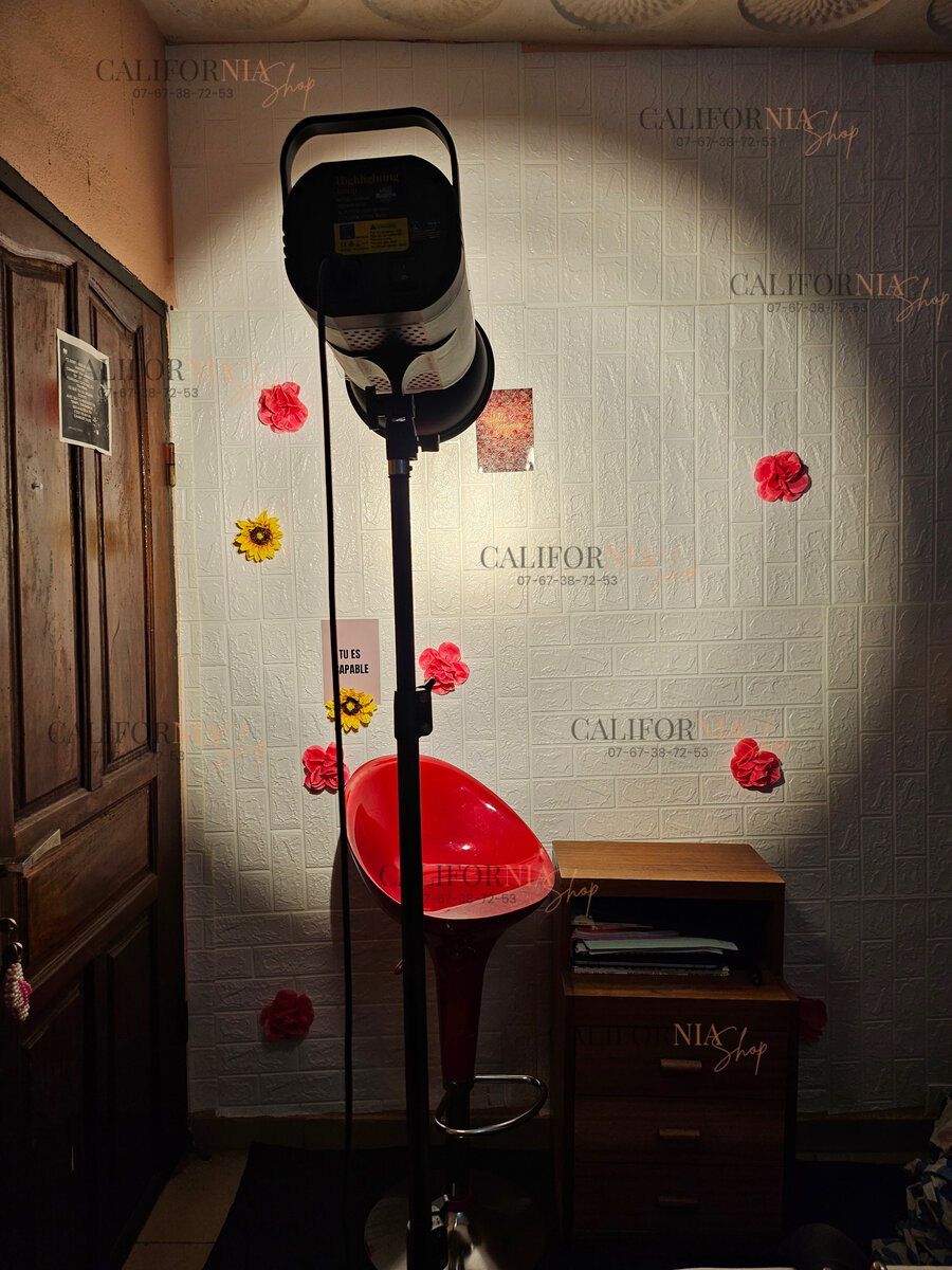 Projecteur professionnel