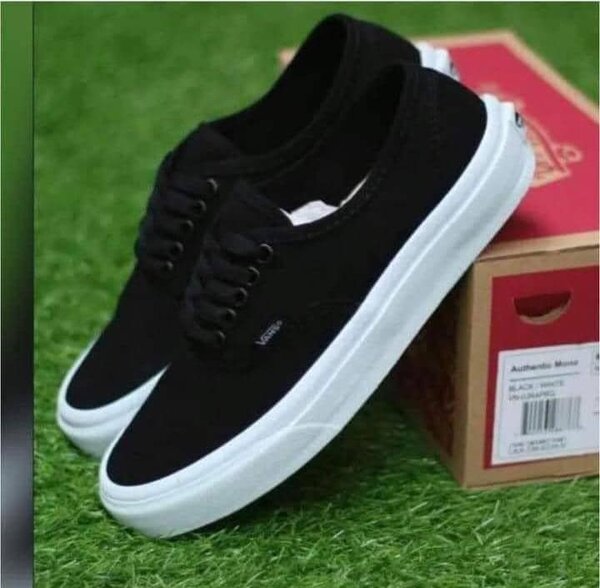 Classic Vans
