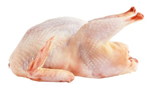 Poulet entier frais