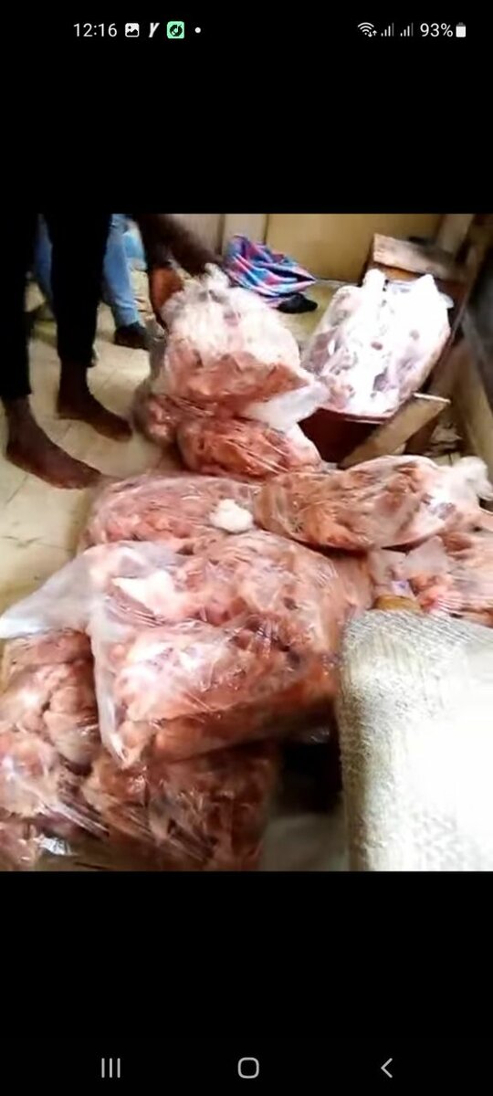 Chic toutou Surgelé pour chiens