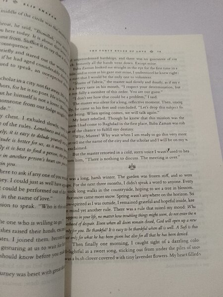 Forty Rules of love