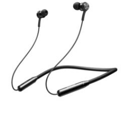 Earphones
