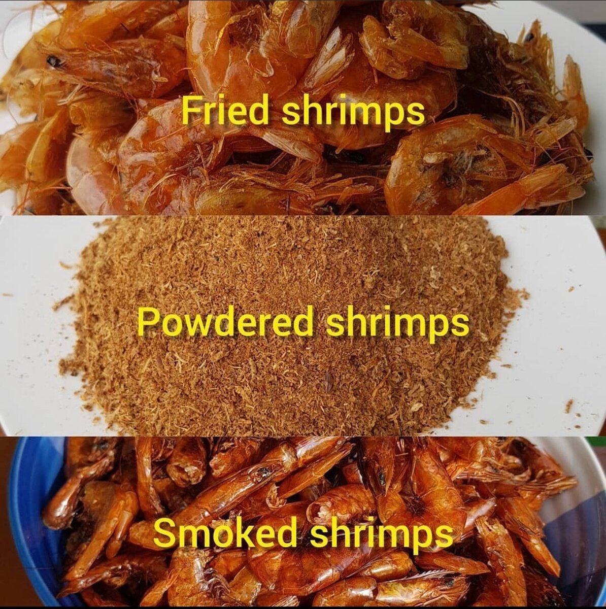 Shrimp