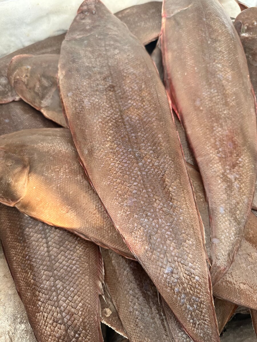 Sole locale Poisson frais mer