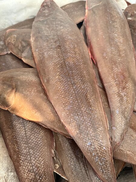 Sole locale Poisson frais mer