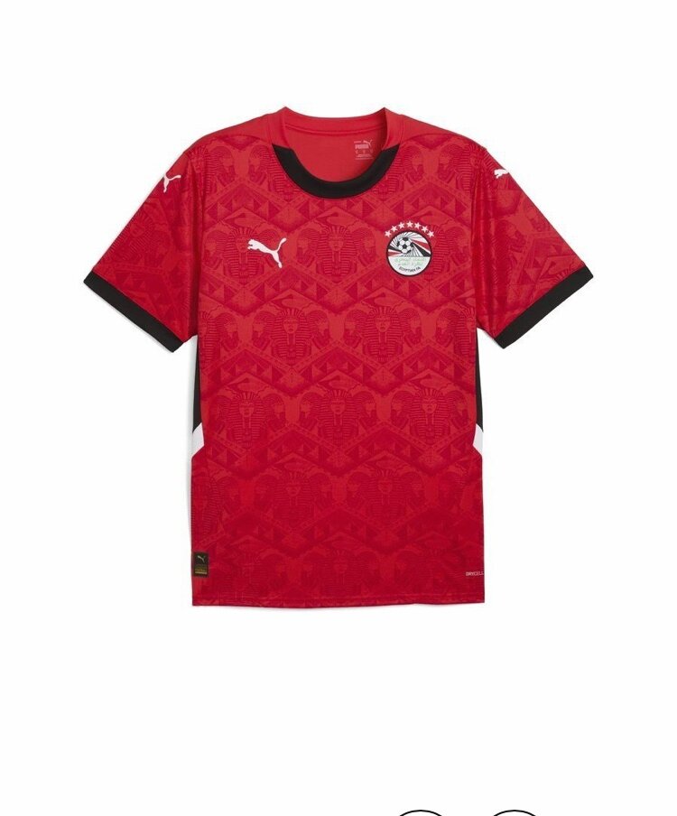 Maillot de football Puma