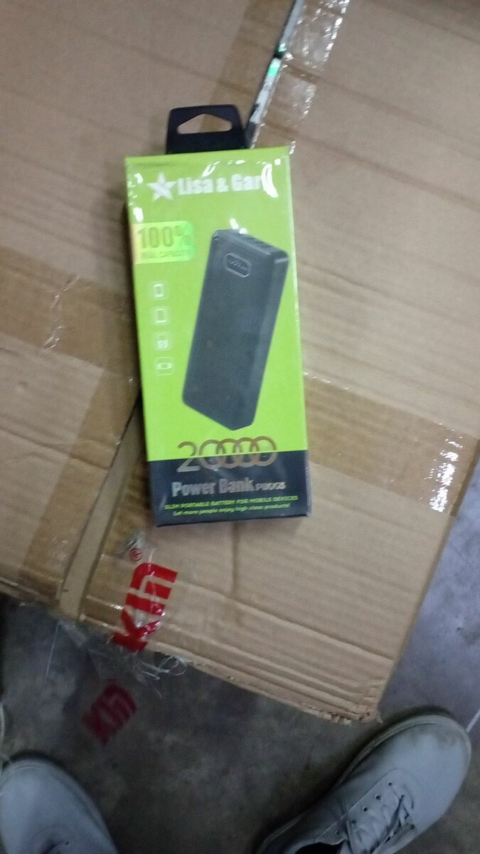 Lisa and gary powerbank