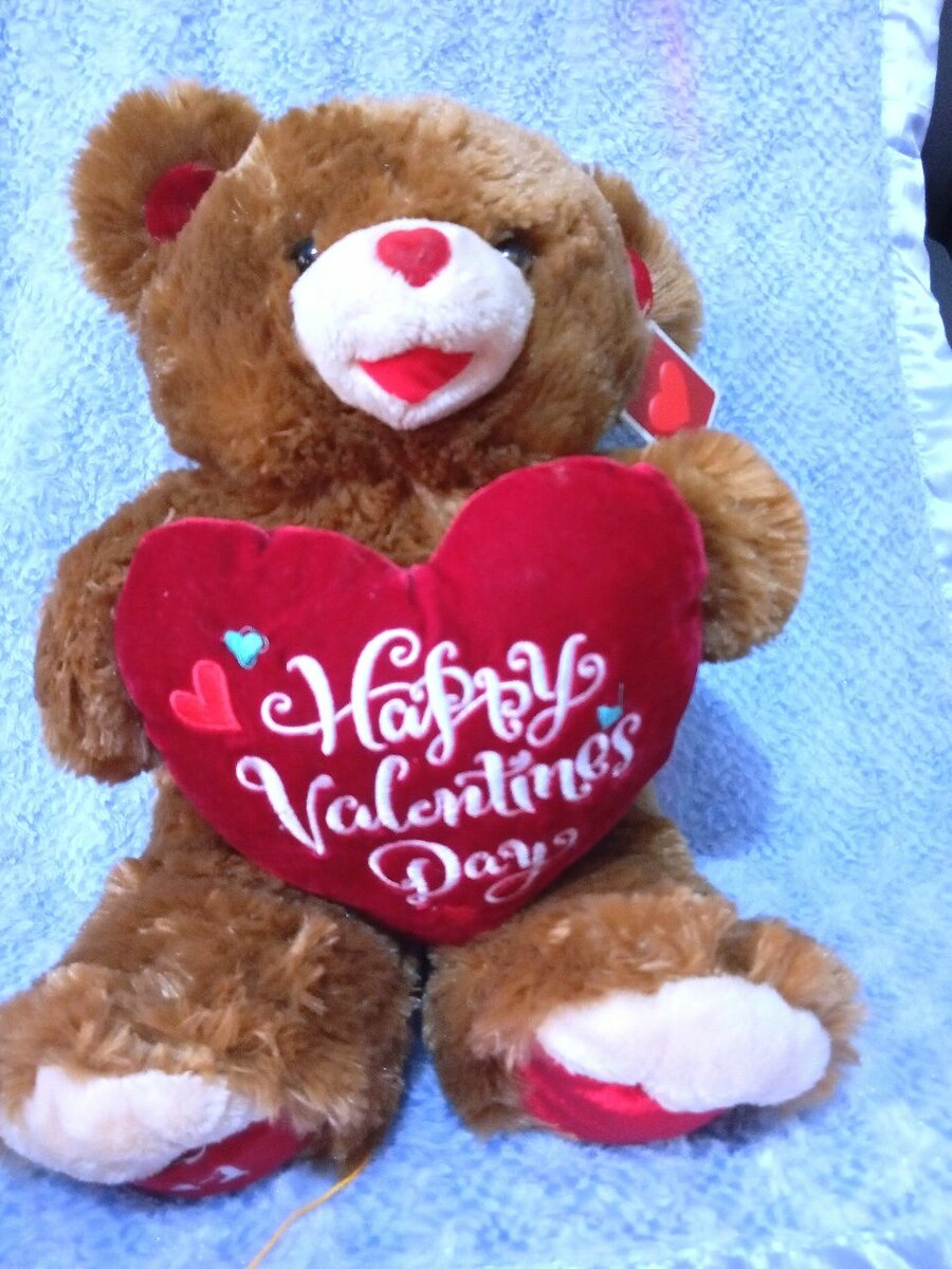 Ours en peluche Saint-Valentin