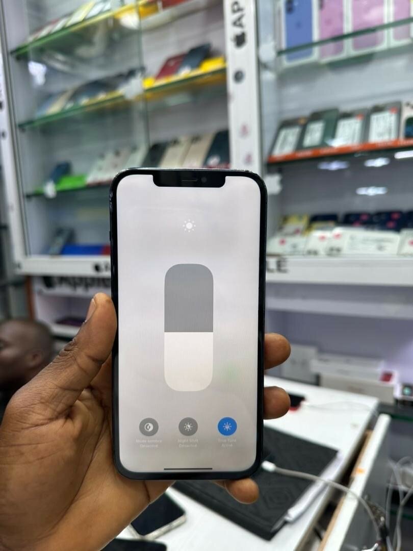 iPhone 12 Pro Max Bleu