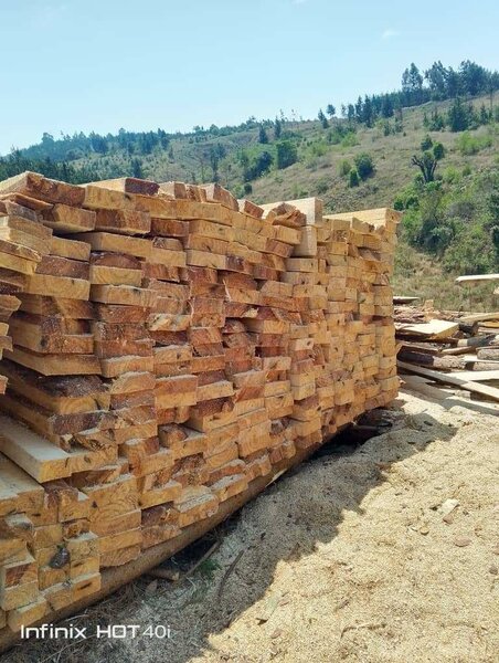 Timber n wooden products