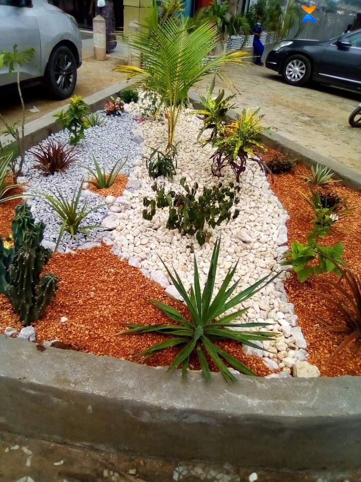 Jardin décoratif en gravier pour extérieur