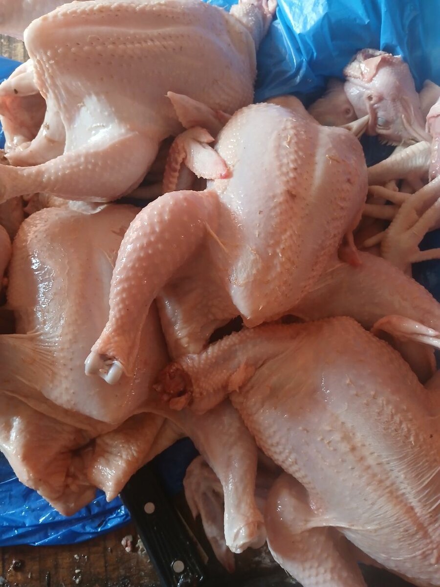 Poulet entier allal bien frais