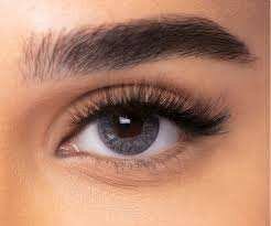 Mistake grey gray lens original Korean  6 month warranty