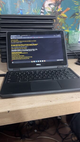 Dell chromebook