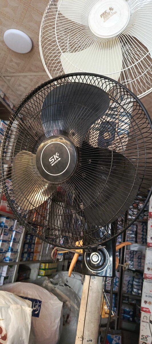 SK  Fans