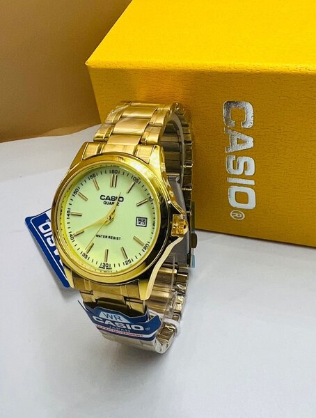 Montres Casio Acier Inoxydable