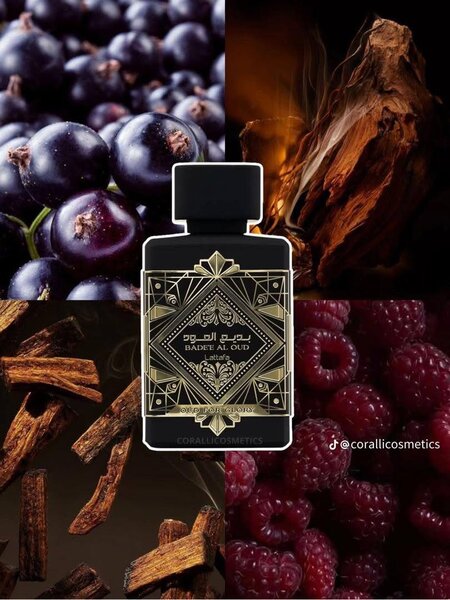 Bade'e Al Oud Parfum Exquis