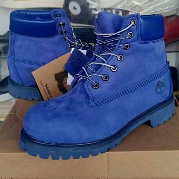 Chaussure Timberland