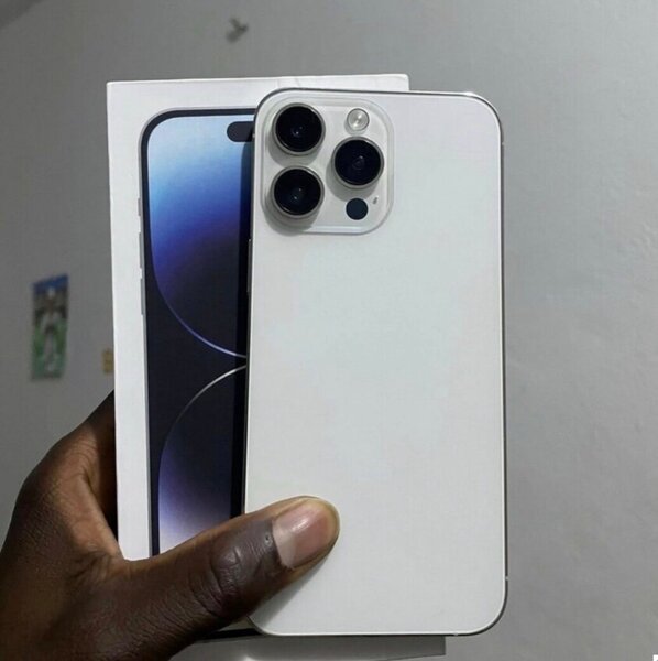 iPhone 13 pro max 256Go