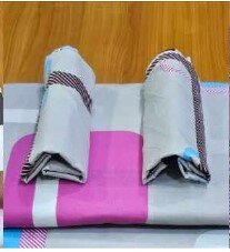 Beautiful 2 bedsheets and 2 pillow cases multicolor