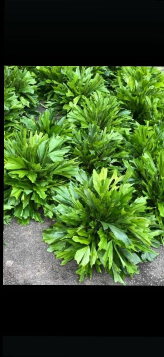 Bouquet des fleurs sur  table