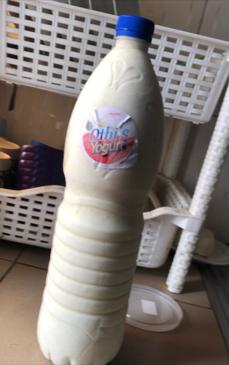 Othis Yogurt (yahourt crémeux)