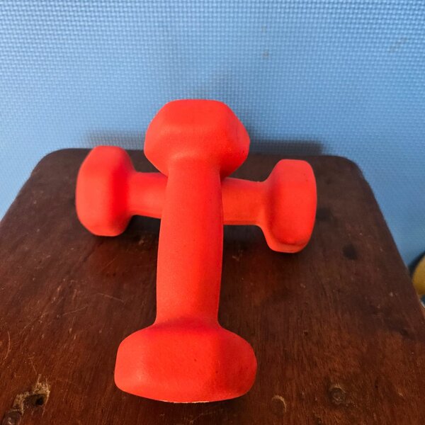 Haltères 1kg en néoprène